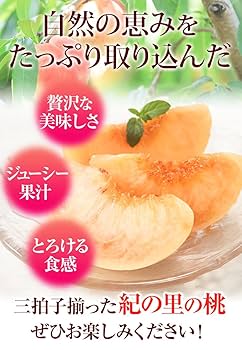 桃の予約販売開始！ 数量限定！旬の朝採れたて黄金桃 2kg以上（5～7玉）【2025年発送